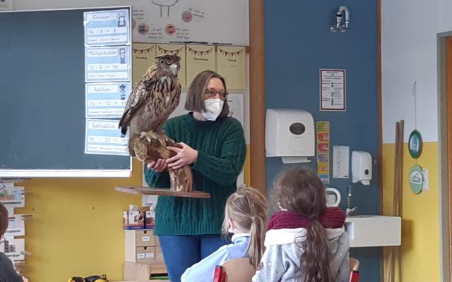 "Eulen und Greifvögel"in der OGS