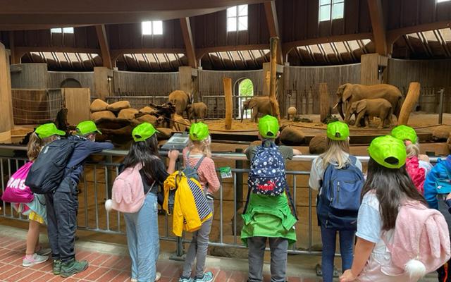 Klassenfahrt der 3er in den Zoo