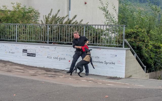 Schnüffeln, Stellen, Zubeißen – Polizeihund Percy im Einsatz