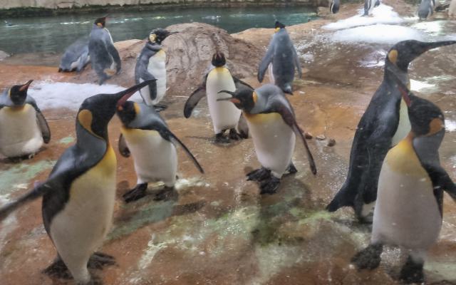 Der erste Zoobesuch mit der 3a und 3b