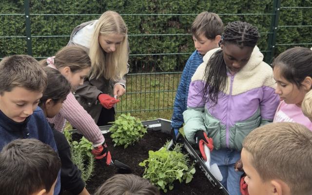 Hurra, ein neues Hochbeet für unsere OGS!
