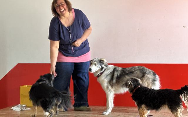 Was macht man (Hund) eigentlich in einer Hundeschule?